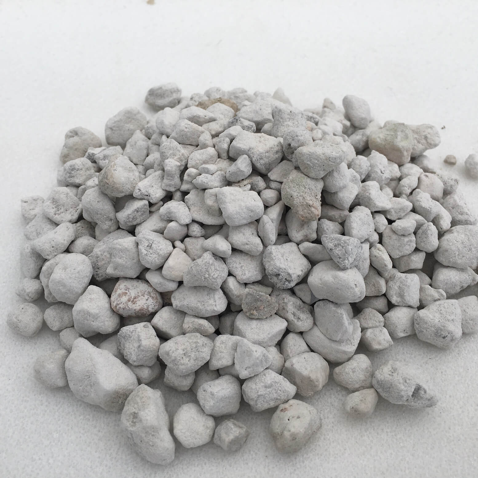 Ελαφρόπετρα χοντρή χοντρή • Ελληνικές Ορχιδέες • Μοναδικές ορχιδέες με στυλ και αρώματα!