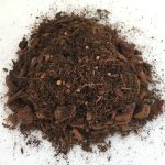 Yπόστρωμα για Cambria, Dendrobium.