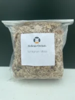 Σφάγνος (Sphagnum Moss) - Image 2