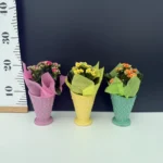 Kalanchoe Calandiva + Κασπώ