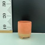 Κασπώ με ποδαράκι Σομόν 9cm