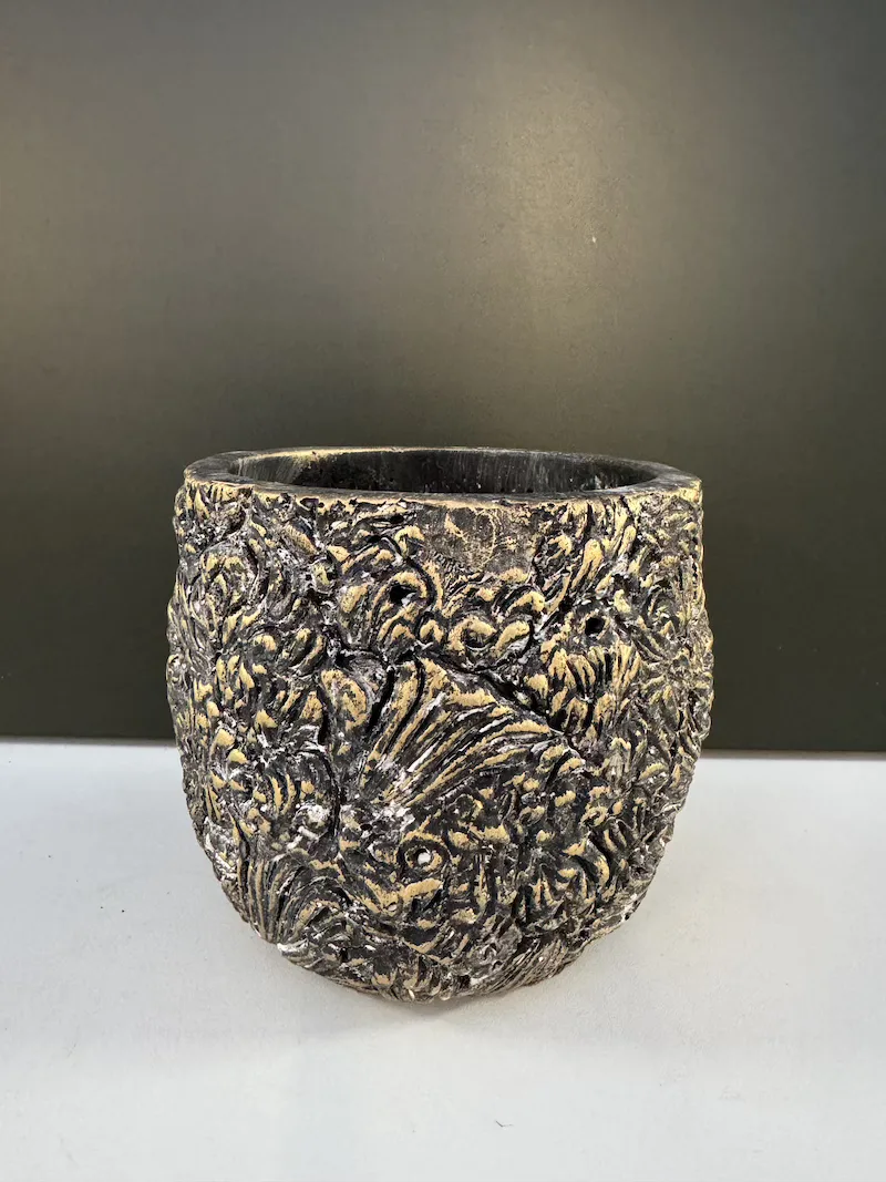 IMG_3750 IMG 3750 • Ελληνικές Ορχιδέες • Μοναδικές ορχιδέες με στυλ και αρώματα!