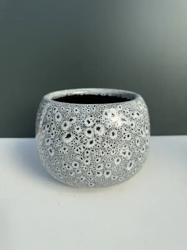 IMG_3906 IMG 3906 • Ελληνικές Ορχιδέες • Μοναδικές ορχιδέες με στυλ και αρώματα!