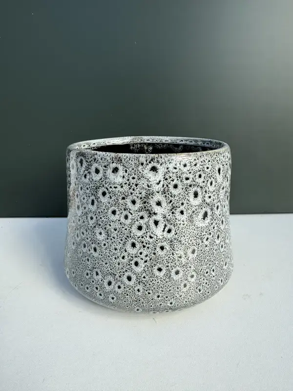 IMG_3907 IMG 3907 • Ελληνικές Ορχιδέες • Μοναδικές ορχιδέες με στυλ και αρώματα!