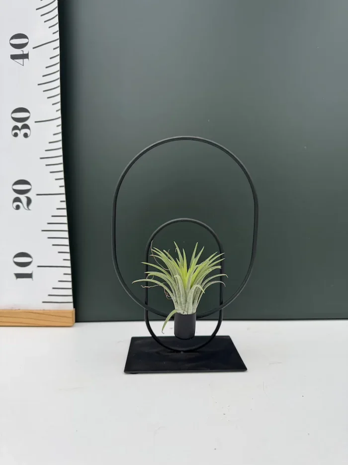 Metal Base - Airplants ( Αεροφύτο ) - Image 2