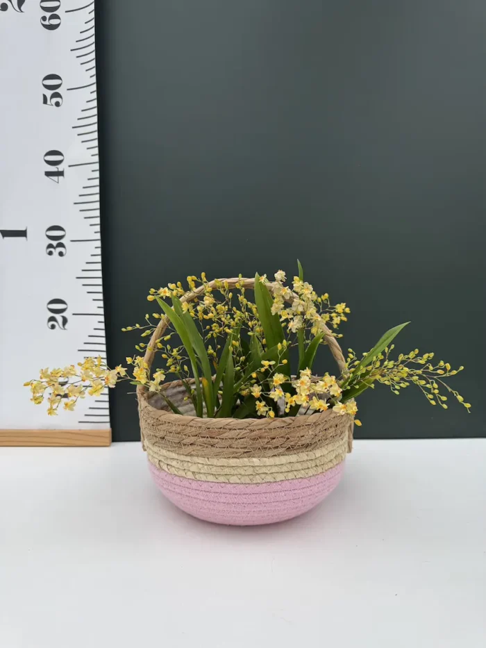 Basket – Καλάθι 21cm - Image 2