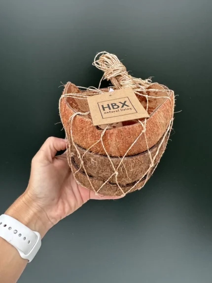 IMG 4548 &bull; Ελληνικές Ορχιδέες &bull; Μοναδικές ορχιδέες με στυλ και αρώματα!