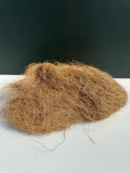 IMG 4901 &bull; Ελληνικές Ορχιδέες &bull; Μοναδικές ορχιδέες με στυλ και αρώματα!