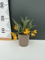 Promenea - Sunlight - Image 3