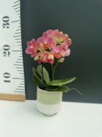 Pastel pot 7cm - Image 5